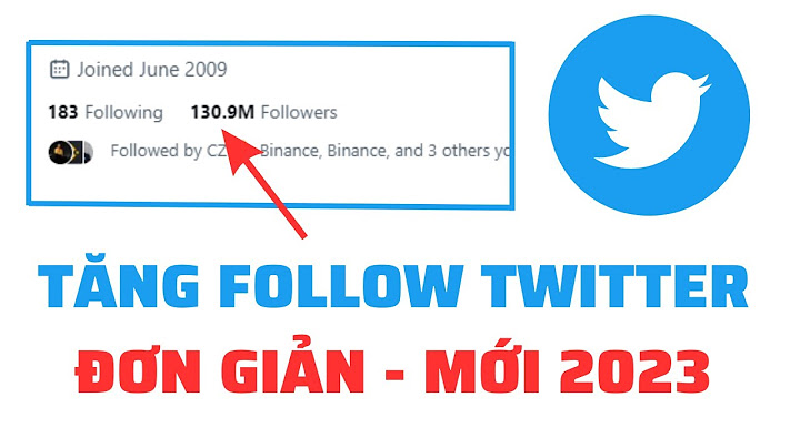 Tăng người theo dõi trên twitter