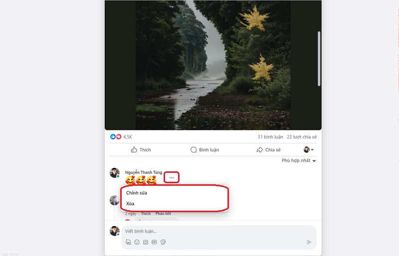 Cách chỉnh sửa bình luận Facebook trên máy tính 1